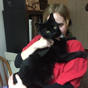 Meet your Posher, Lior